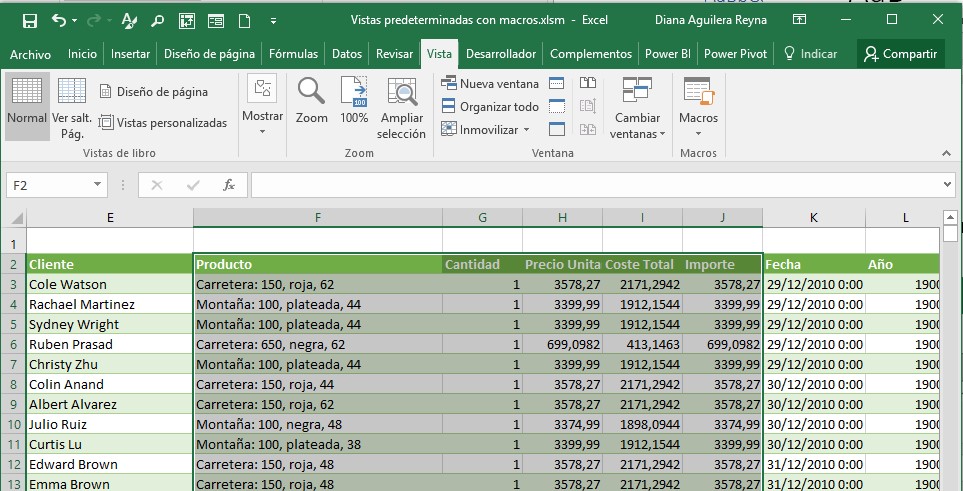 elementos de una vista personalizada en excel