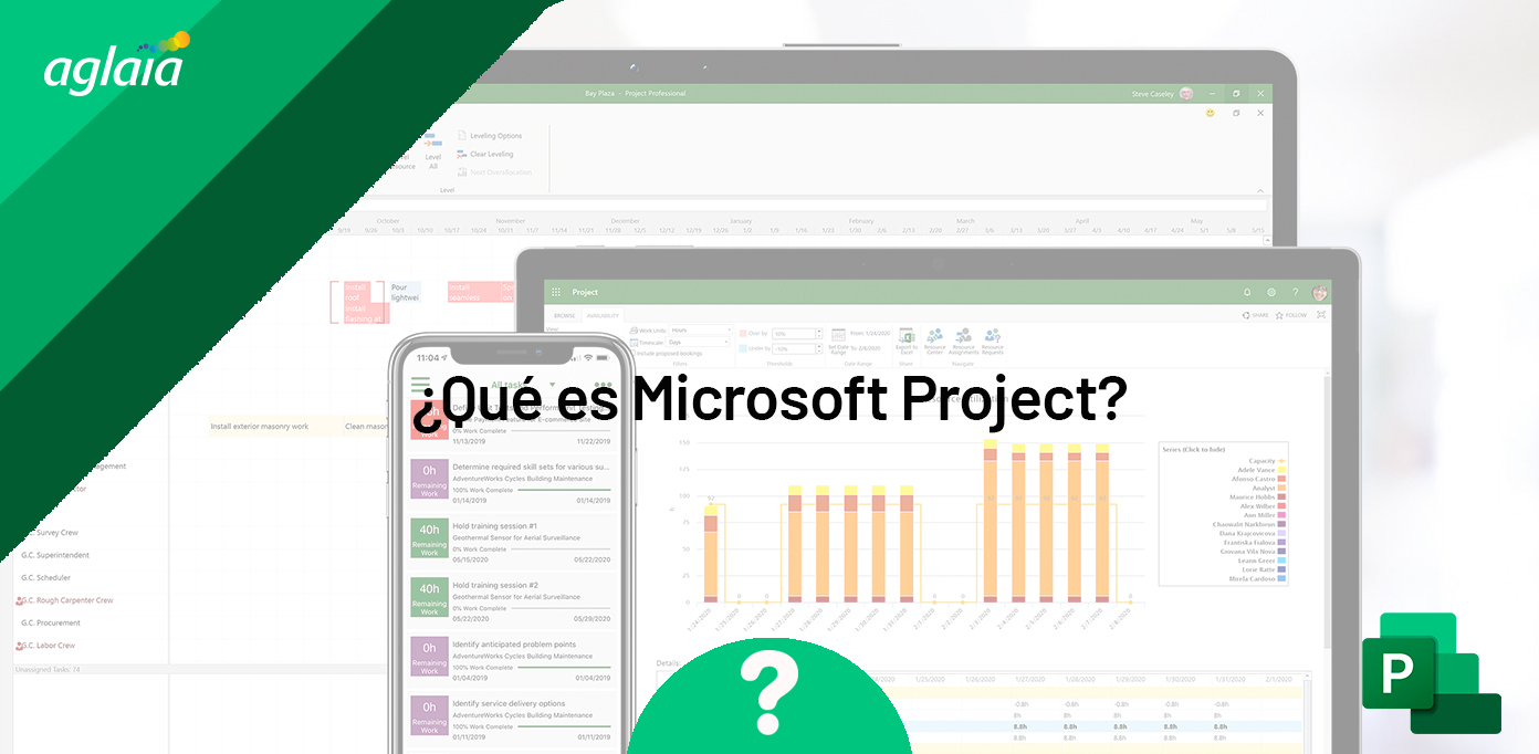 Que es Microsoft Project